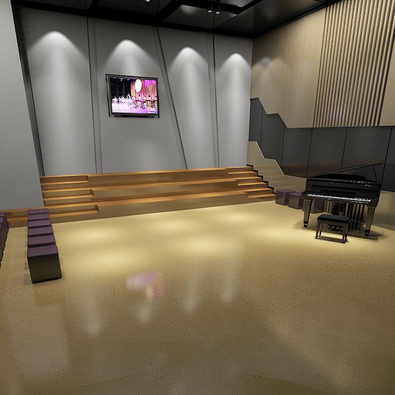 theater PVC flooring